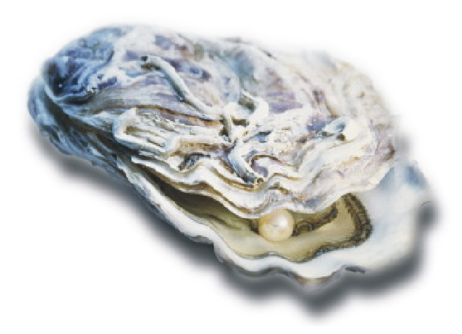 Abalone Professionals
