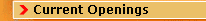 Current Openings