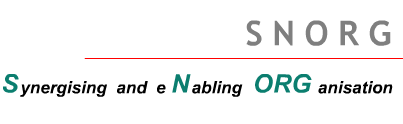 SNORG - Synergising and eNabling ORGanisation