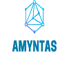 Amyntas Media Works LLP