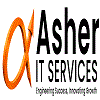 Asher It Services Private Limited