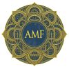 AMF Synergy Vision