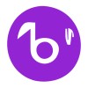 Birbal Non-Profit Foundation logo