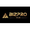 BIZPRO HUB MANAGEMENT CONSULTANT