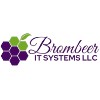 Brombeer IT Systems LLC