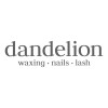 Dandelion Indonesia