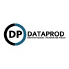 DATAPROD CONSULTANTS LLC logo