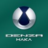 Denza Haka Auto