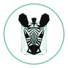 Emerald Zebra Talent Solutions