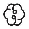 iBrain Asia Agency