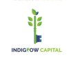 Indigrow Capital logo