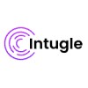 Intugle