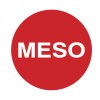MESO PRIVATE LIMITED