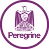 Peregrine Security (Singapore)
