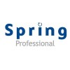 Spring Professional Consultant