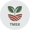 TMSX