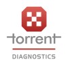 Torrent Diagnostics