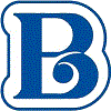 Bagat Career Solutions International Private Limited logo