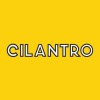 Cilantro
