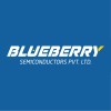 Blueberry Semiconductors