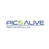 Pico alive