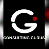 Consulting Gurus (Opc) Private Limited logo