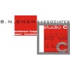 B.N. SHAH & ASSOCIATES