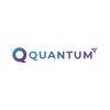 Quantum Codes
