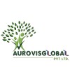 AUROVISGLOBAL PRIVATE LIMITED