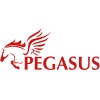 Pegasus