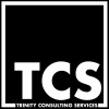 Trinity Consulting Services