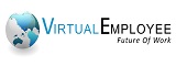 Virtual Employee Private Limited