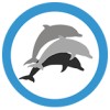 3Dolphins.ai (PT. InMotion Inovasi Teknologi)
