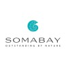Abu Soma Development Company