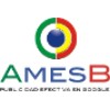 AmesB - Digital Marketing  Consultants