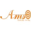 AMS Software Services Pvt. Ltd.
