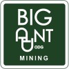 Big Ant Mining Corp.