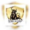 big bulls