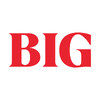 BIG Language Solutions logo