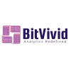 Bitvivid Solutions logo