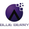 blue berry e-services private limited
