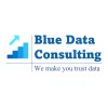 Blue Data Consulting