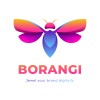 Borangi