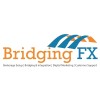 BRIDGING FX LIMITED