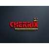 Cherrix Express India Pvt Ltd