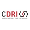 Coalition for Disaster Resilient Infrastructure