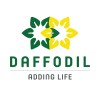 Daffodil Group