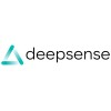 Deepsense Digital logo