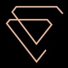 Diamond Headquarters Private Limited logo