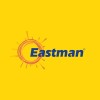 Eastman Auto & Power Limited
